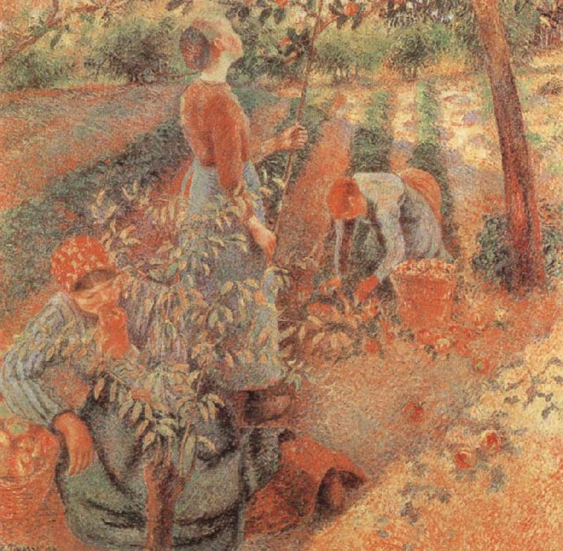 Camille Pissarro Apple picking China oil painting art